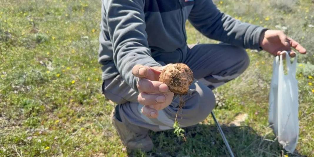 Tek tek arıyorlar, bulan havaya uçuyor! ‘Altın bulsam bu kadar sevinmem’ 4